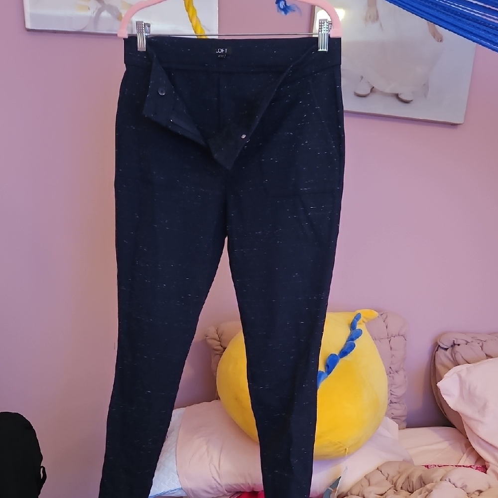 LOFT Navy Skinny Pants